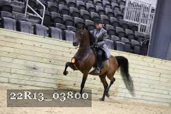 22R13_03800 thumbnail