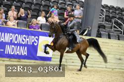 22R13_03801 thumbnail