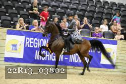 22R13_03802 thumbnail