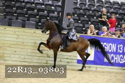 22R13_03803 thumbnail