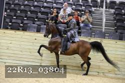 22R13_03804 thumbnail
