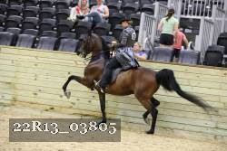 22R13_03805 thumbnail