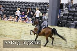 22R13_03806 thumbnail