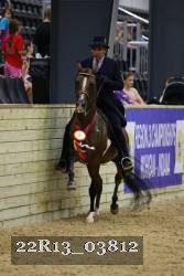 22R13_03812 thumbnail