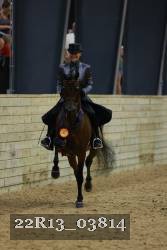22R13_03814 thumbnail