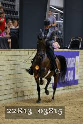 22R13_03815 thumbnail