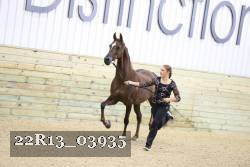 22R13_03935 thumbnail
