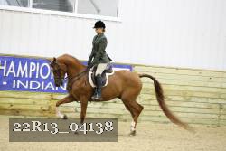 22R13_04138 thumbnail