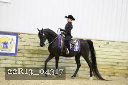 22R13_04317 thumbnail