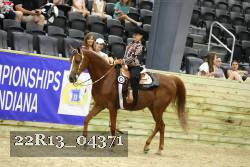 22R13_04371 thumbnail