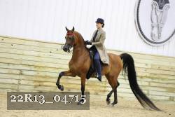 22R13_04715 thumbnail