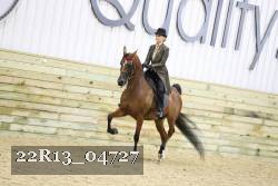 22R13_04727 thumbnail