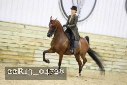 22R13_04728 thumbnail