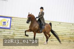 22R13_04729 thumbnail