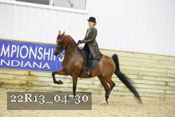 22R13_04730 thumbnail