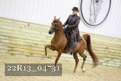 22R13_04731 thumbnail