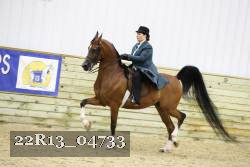 22R13_04733 thumbnail