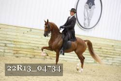 22R13_04734 thumbnail