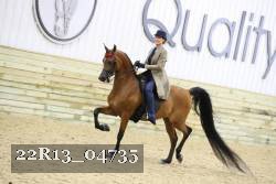 22R13_04735 thumbnail
