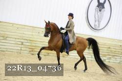 22R13_04736 thumbnail