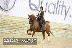 22R13_04737 thumbnail