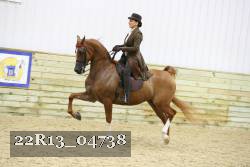 22R13_04738 thumbnail