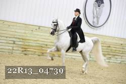 22R13_04739 thumbnail