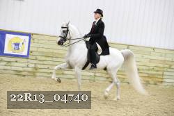 22R13_04740 thumbnail