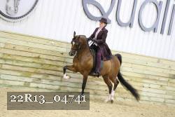 22R13_04741 thumbnail
