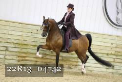 22R13_04742 thumbnail
