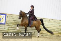 22R13_04743 thumbnail