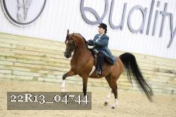 22R13_04744 thumbnail