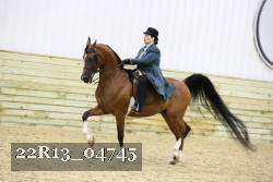 22R13_04745 thumbnail