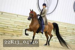 22R13_04746 thumbnail