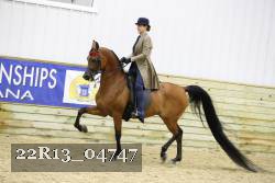 22R13_04747 thumbnail