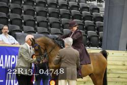 22R13_04748 thumbnail