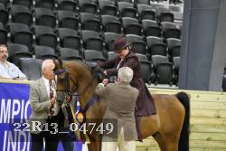 22R13_04749 thumbnail
