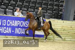 22R13_04757 thumbnail