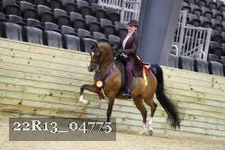 22R13_04775 thumbnail