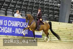 22R13_04777 thumbnail