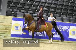 22R13_04778 thumbnail