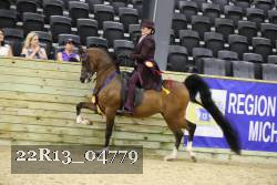 22R13_04779 thumbnail