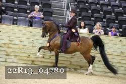 22R13_04780 thumbnail