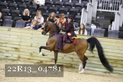 22R13_04781 thumbnail