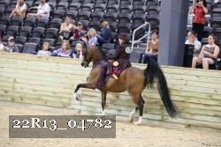 22R13_04782 thumbnail