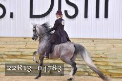 22R13_04783 thumbnail
