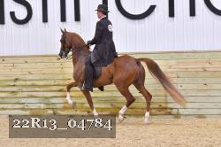 22R13_04784 thumbnail