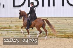 22R13_04785 thumbnail
