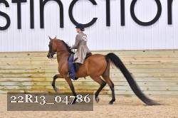 22R13_04786 thumbnail