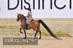 22R13_04787 thumbnail